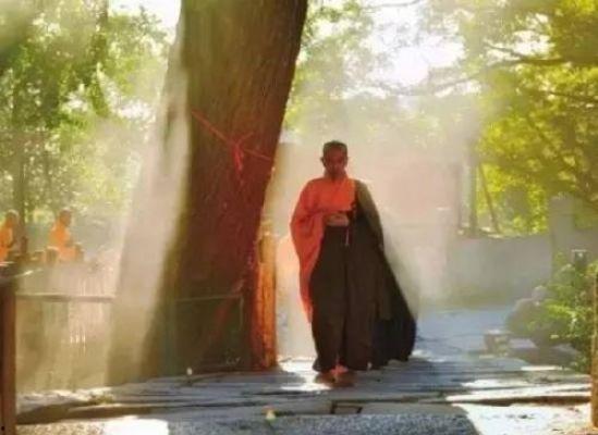 吃瓜和尚拜佛,吃瓜和尚的佛心之旅  第2张