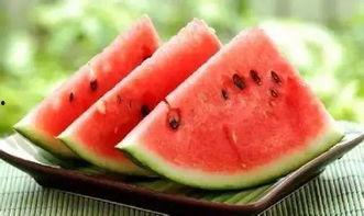 泰州牧校吃瓜,揭秘校园里的“瓜田”风云  第3张