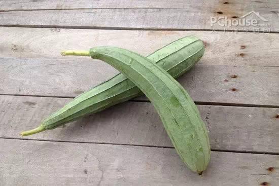 长形角瓜怎么吃,长形角瓜的多彩食法探索  第3张