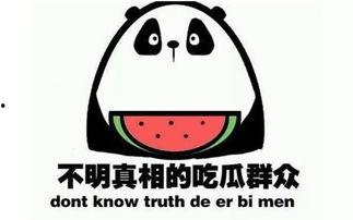 刺痛吃瓜,揭秘娱乐圈背后的真相与笑料