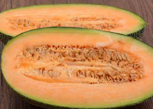 打完育苗可以吃哈密瓜吗,品尝时令美味”