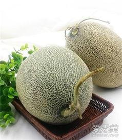 打完育苗可以吃哈密瓜吗,品尝时令美味”  第2张