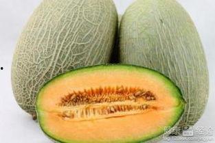打完育苗可以吃哈密瓜吗,品尝时令美味”  第3张