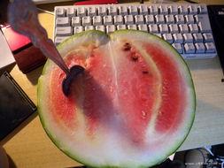 笃哥吃瓜,揭秘娱乐圈那些不为人知的幕后故事  第2张