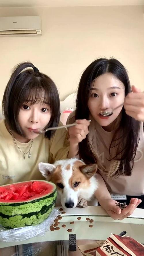 闺蜜吃瓜照片,揭秘娱乐圈幕后真相！”