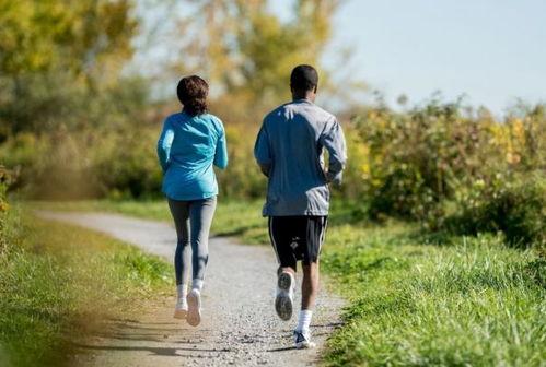 吃瓜吃到坏瓜怎么形容句子,揭秘网络舆论的喜与忧  第3张