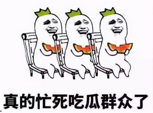 吃瓜群众们图片,捕捉生活中的点滴趣味  第3张