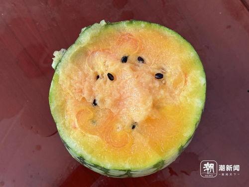 dreams吃瓜,揭秘梦境中的奇幻瓜果世界  第3张