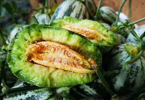 博洋蜜瓜咱吃,甜蜜滋味，尽享夏日清凉  第3张