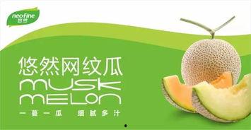 吃瓜协会最新  第2张