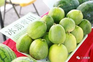 吃瓜协会最新  第3张