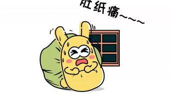 带你吃瓜如何变现,揭秘网络红人的商业之路