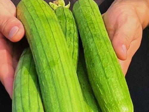 瓜蔬菜怎么吃  第2张