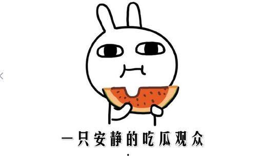 被吃瓜什么意思,网络时代下的舆论狂欢与隐私边界  第1张