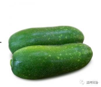 通瓜可以怎么吃  第3张