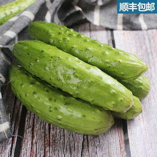 云南嫩瓜怎么吃,云南嫩瓜的多样食法探索 第1张 云南嫩瓜怎么吃,云南嫩瓜的多样食法探索 第1张