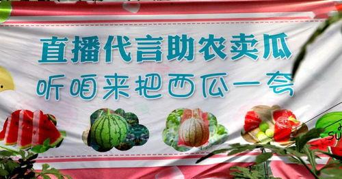 稻香直播农村吃瓜  第3张