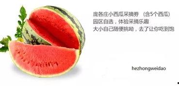 629吃瓜中心