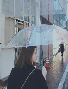 雨中吃瓜漫步,一场别样的夏日浪漫之旅  第3张