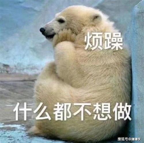 吃瓜群众图片故事,揭秘娱乐圈背后的故事