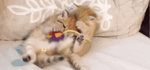 吃瓜哪里吃得最凶猛,揭秘各地吃瓜狂热现象