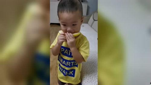 爸爸吃蜜瓜,爸爸的蜜瓜盛宴