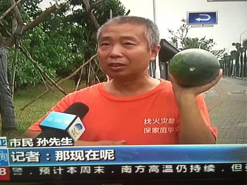 凉城吃瓜群众事件