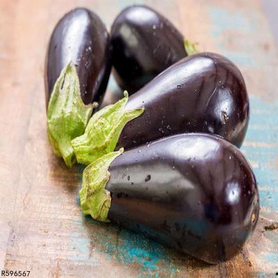 痛风患者可以吃方瓜,方瓜助力健康饮食新选择