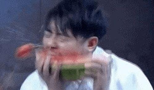 网恋遛鸟被发吃瓜,遛鸟也能成为网红？