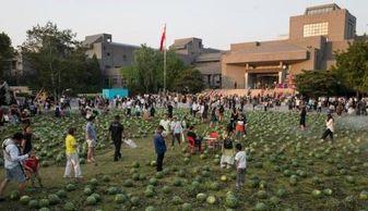 美院教师吃瓜,揭秘艺术圈背后的八卦风云