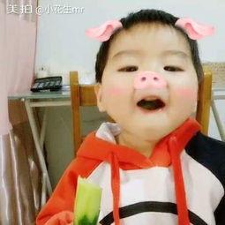 小猪先生视频吃瓜,趣味横生！