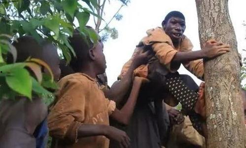 女子返祖吃瓜,揭秘返祖现象背后的神秘吃瓜故事