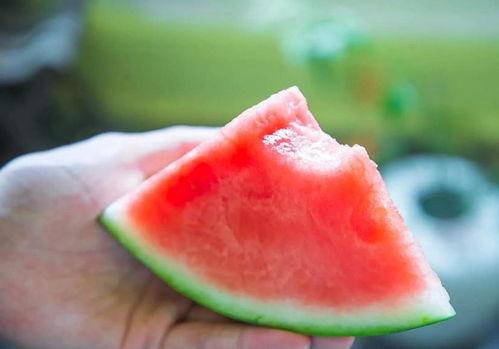 夏天的快乐吃瓜,快乐吃瓜时光