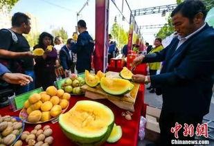 山西运城近日吃瓜,夏日里的甜蜜“瓜”闻