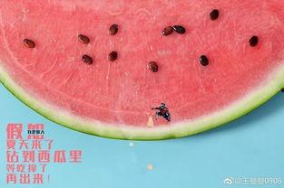 吃瓜全新,揭秘娱乐圈幕后真相