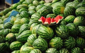 沈阳山胖吃瓜,揭秘网红美食背后的故事