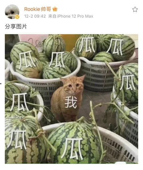 双e吃瓜,揭秘娱乐圈背后的那些事儿 第2张 双e吃瓜,揭秘娱乐圈背后的那些事儿 第2张