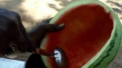 瓜哥视频带你吃大瓜,热门大瓜背后的故事 第3张 瓜哥视频带你吃大瓜,热门大瓜背后的故事 第3张