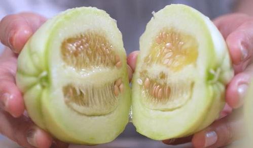 吃脆瓜的危害,揭秘吃脆瓜可能带来的危害 第3张 吃脆瓜的危害,揭秘吃脆瓜可能带来的危害 第3张
