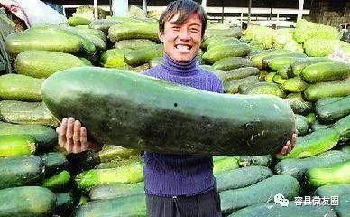 吃瓜群众备用,吃瓜群众背后的故事  第2张