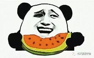 源远流长吃瓜群众,揭秘吃瓜群众的演变与影响  第2张