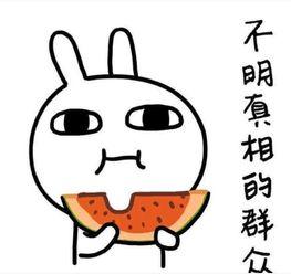 喜欢吃瓜不喜欢当面吃瓜,揭秘爱吃瓜却不愿当面的独特心理  第3张