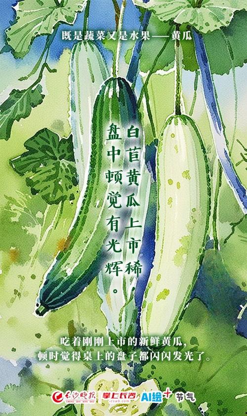 吃瓜节气,品味生活,畅谈人间烟火 第3张 吃瓜节气,品味生活,畅谈人间烟火 第3张