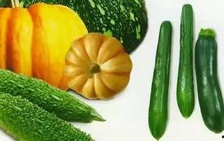 母子瓜在哪吃,共享美味时光的温馨食记  第3张