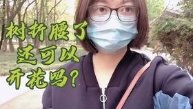 吃瓜群众mmd,揭秘网络红人的幕后故事  第2张