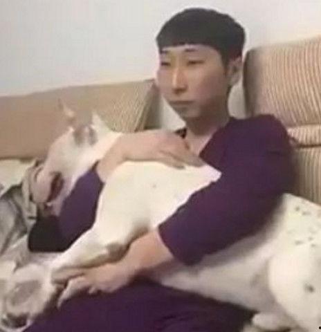 吃瓜惊讶图文,图说惊人一幕！