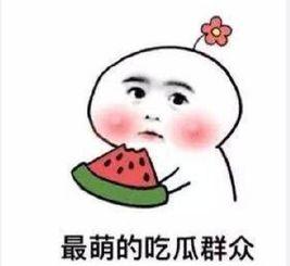 吃瓜补偿  第1张