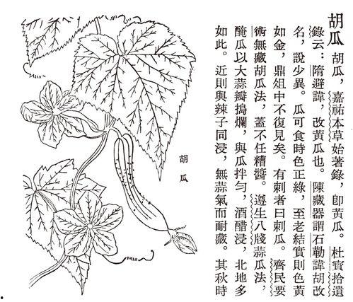 古代吃瓜长篇  第1张