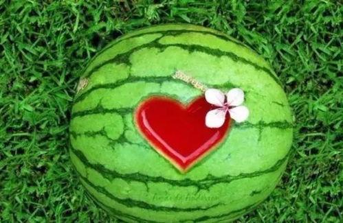 夏天没有瓜吃西瓜,西瓜盛宴，解暑良品  第3张