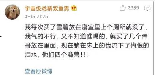 奇葩吃瓜名场面,那些让人捧腹的奇葩吃瓜名场面  第1张